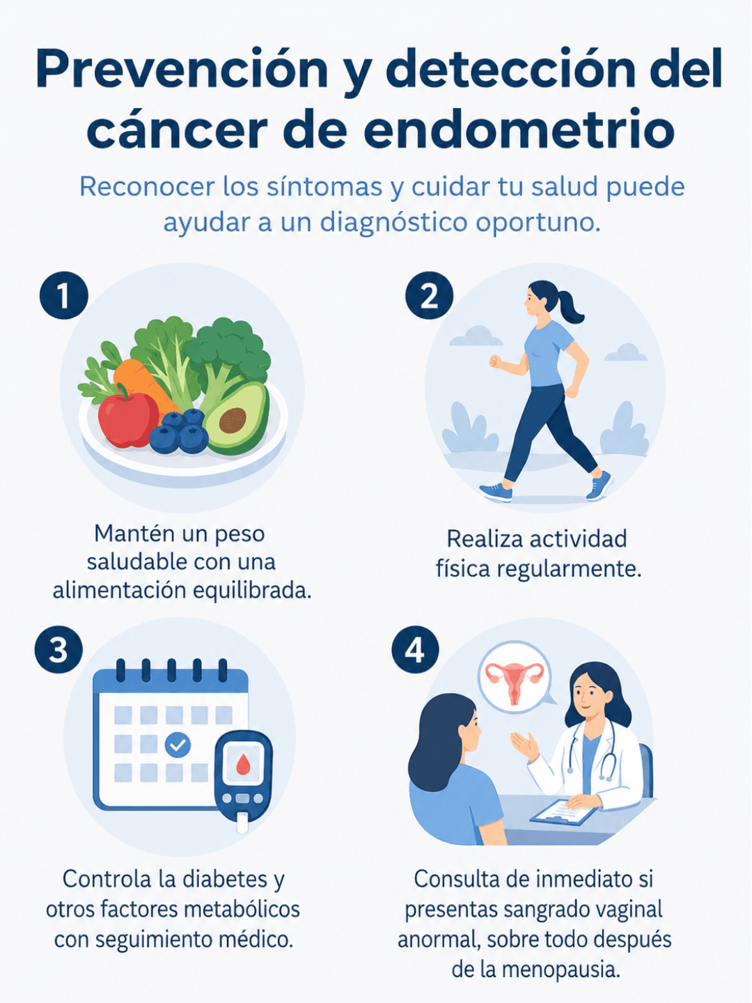 Anatomía - Cáncer de endometrio