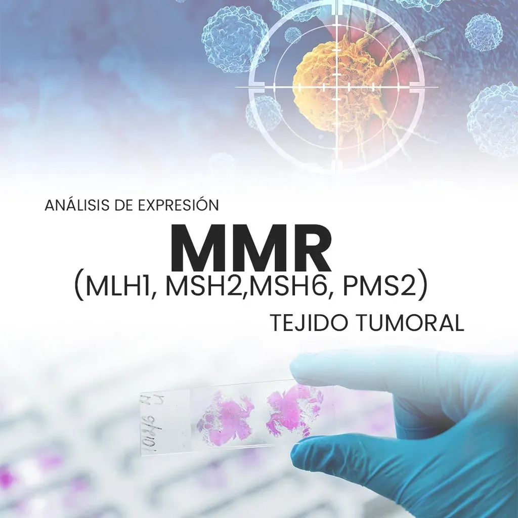 Inmunohistoquimica MMR