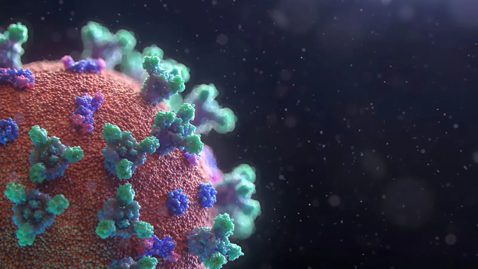 Los virus que aprendieron a curar: los virus oncolíticos podrían transformar el tratamiento del cáncer Los virus oncolíticos representan una de las fronteras más prometedoras en la lucha contra el cáncer.