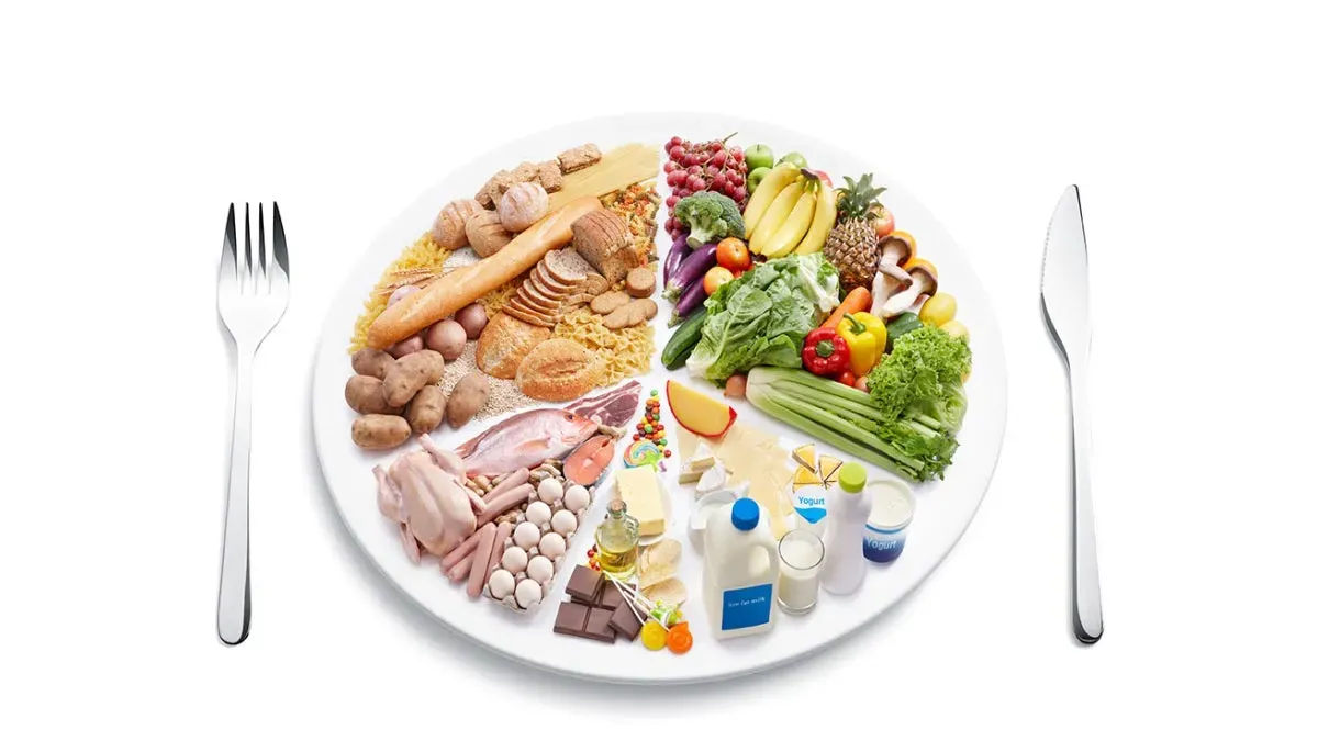 Alimentación y Cáncer: ¿Qué puedo comer durante el tratamiento? Alimentación Oncológia