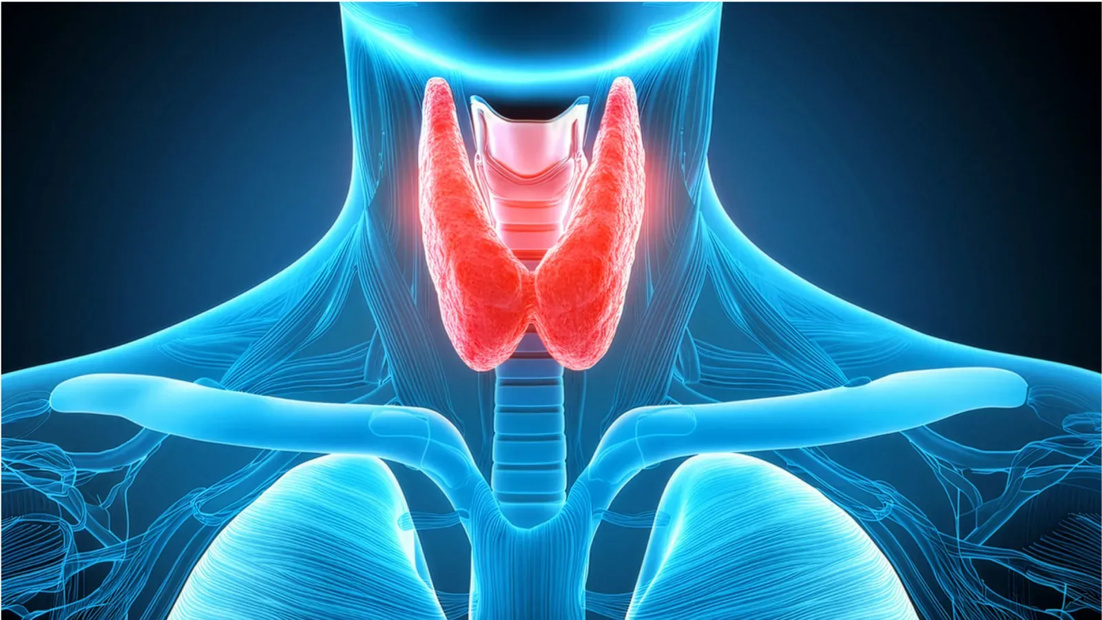 ¿Te apareció un bulto en el cuello? No siempre significa cáncer, pero es una señal que merece evaluación.