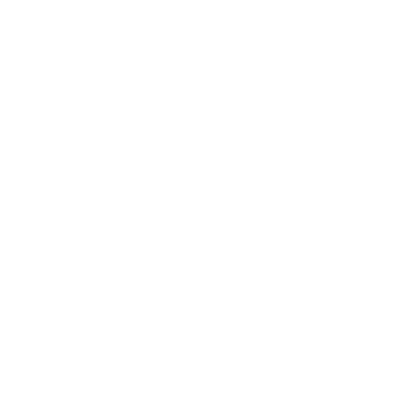 Logo ISO 9001