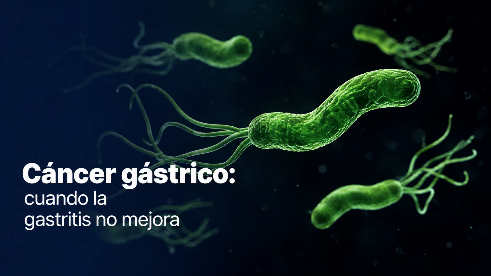 Helicobacter Pylori