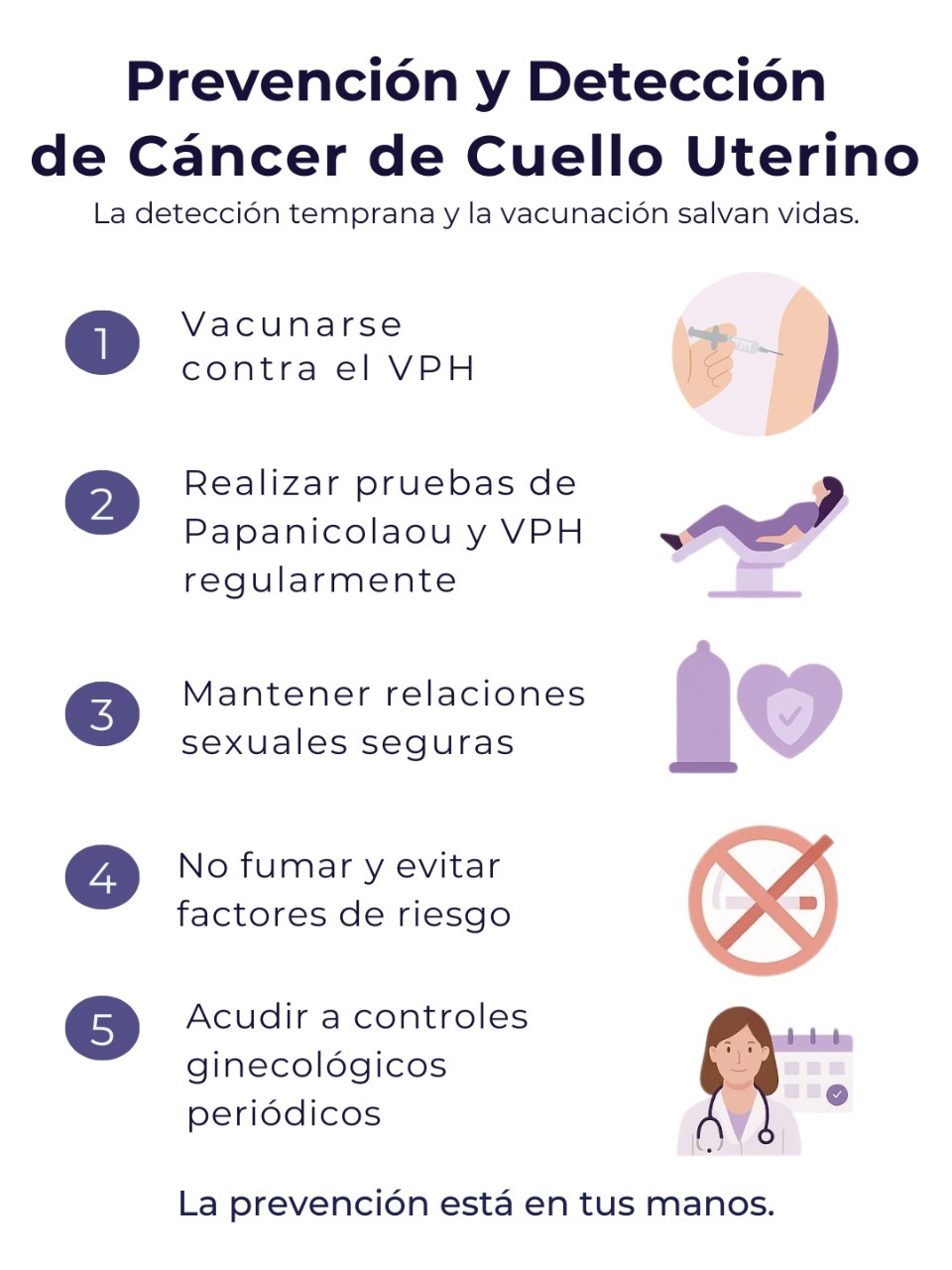 Anatomía - Cáncer de Cuello Uterino