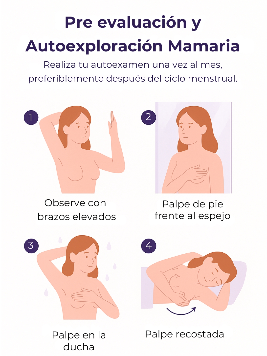 Anatomía - Cáncer de mama
