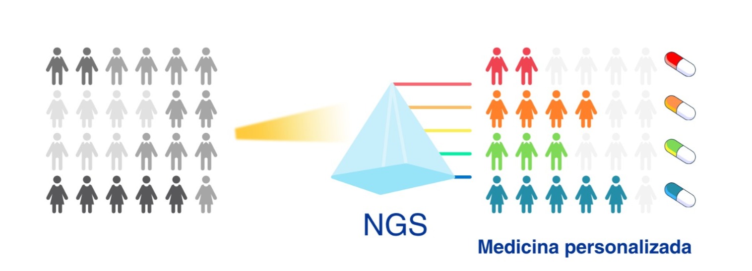 Diagrama del proceso de Terapia Personalizada con NGS